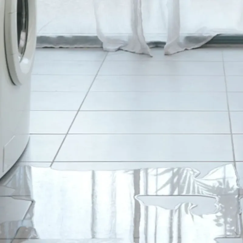 Appliance Leak Cleanup in Gurnee, IL