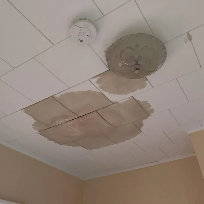 Ceiling Water Damage Repair in Gurnee, IL
