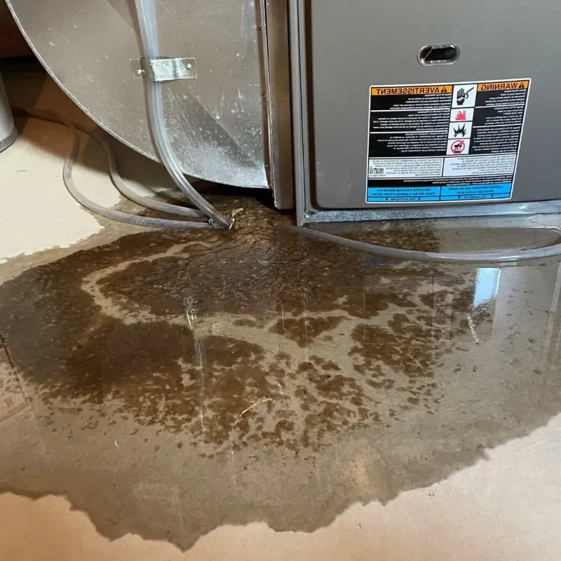 Pipe Burst and Leak Restoration in Gurnee, IL