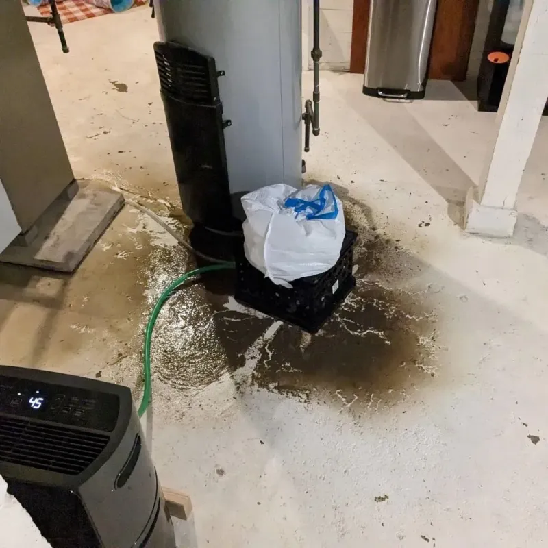 Sewage Backup Cleanup Service in Gurnee, IL